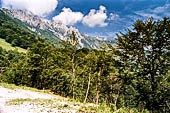 Lombardia, Provincia di Lecco, escursione traversata bassa delle Grigne. 